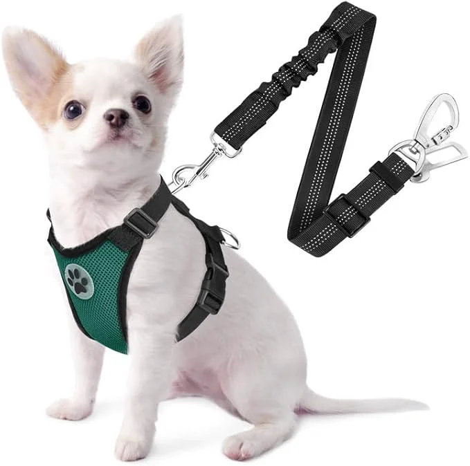 High-Grade SlowTon Dog Seat Belt Harness for Car Dog Car Harness Adjustable Mesh Breathable Dog Seatbelt Safety Tether with Elastic Bungee for Small Medium Large Pets Green Double Clip XXS About ThisOverview Traditional