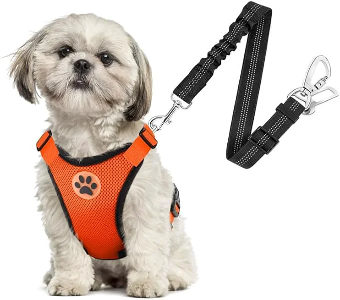 Sustainable SlowTon Dog Seat Belt Harness for Car Dog Car Harness Adjustable Mesh Breathable Dog Seatbelt Safety Tether with Elastic Bungee for Small Medium Large Pets Orange Double Clip XS About ThisOverview Exclusive