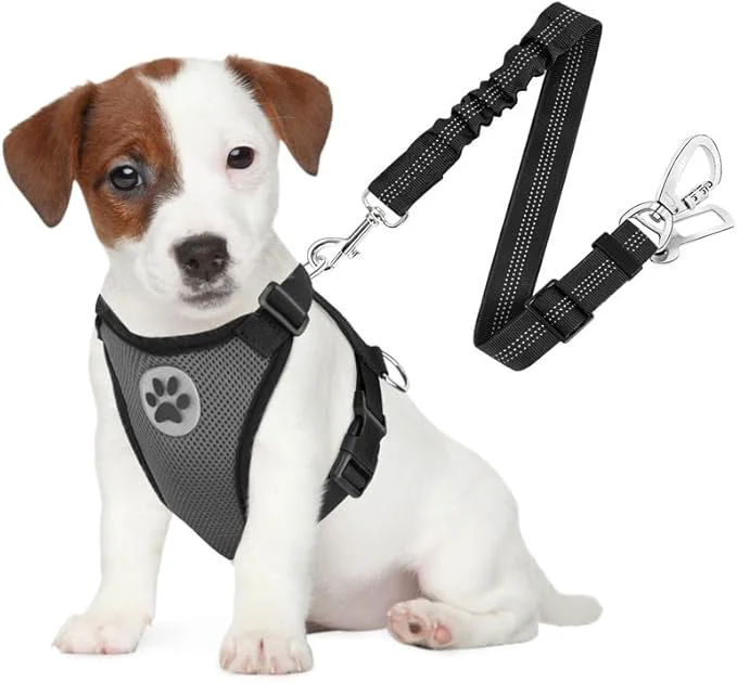 Proven SlowTon Dog Seat Belt Harness for Car Dog Car Harness Adjustable Mesh Breathable Dog Seatbelt Safety Tether with Elastic Bungee for Small Medium Large Pets Grey Double Clip S About ThisOverview Easy-to-Use