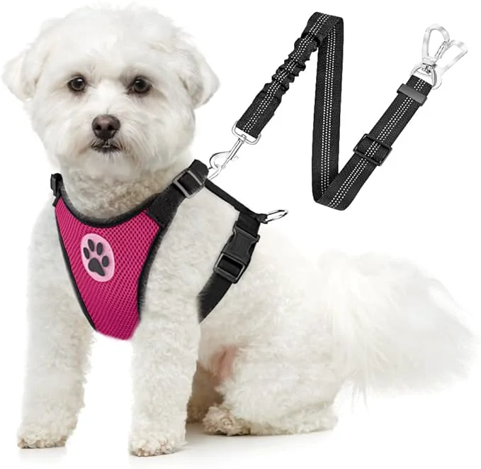 Sustainable SlowTon Dog Seat Belt Harness for Car Dog Car Harness Adjustable Mesh Breathable Dog Seatbelt Safety Tether with Elastic Bungee for Small Medium Large Pets Fuchsia Double Clip L About ThisOverview Minimalist
