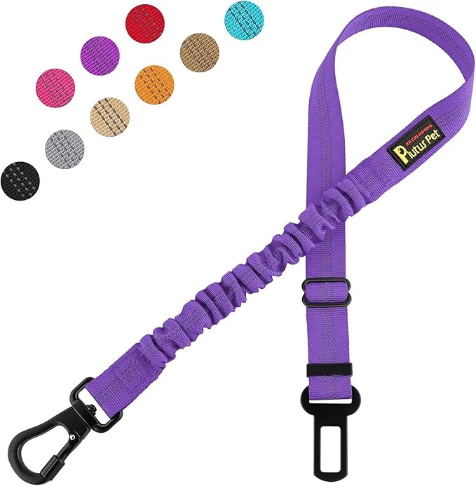Contemporary Plutus Pet Dog Seat Belt for Car Adjustable Dog Car Harness with Carabiner Clip Reflective Safety Dog Seatbelt Leash with Elastic Bungee PurpleAbout ThisOverview Fine Crafted