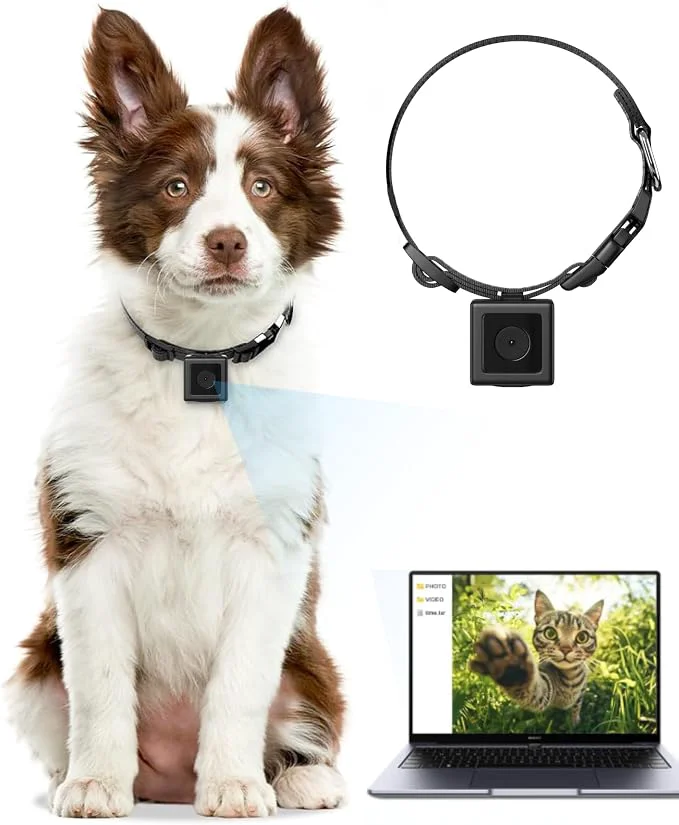 Clean Dog Camera Collar 1080P HD Video Recording Pet POV Cam NO WiFi NO APP Modern