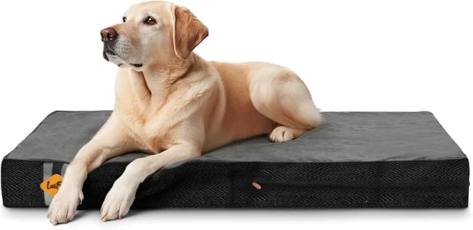 Fashionable Laifug Orthopedic Memory Foam Pet 40 x 25 x 4 Black Dog Bed with Durable Waterproof Liner and Removable Washable CoverAbout ThisOverview Effective