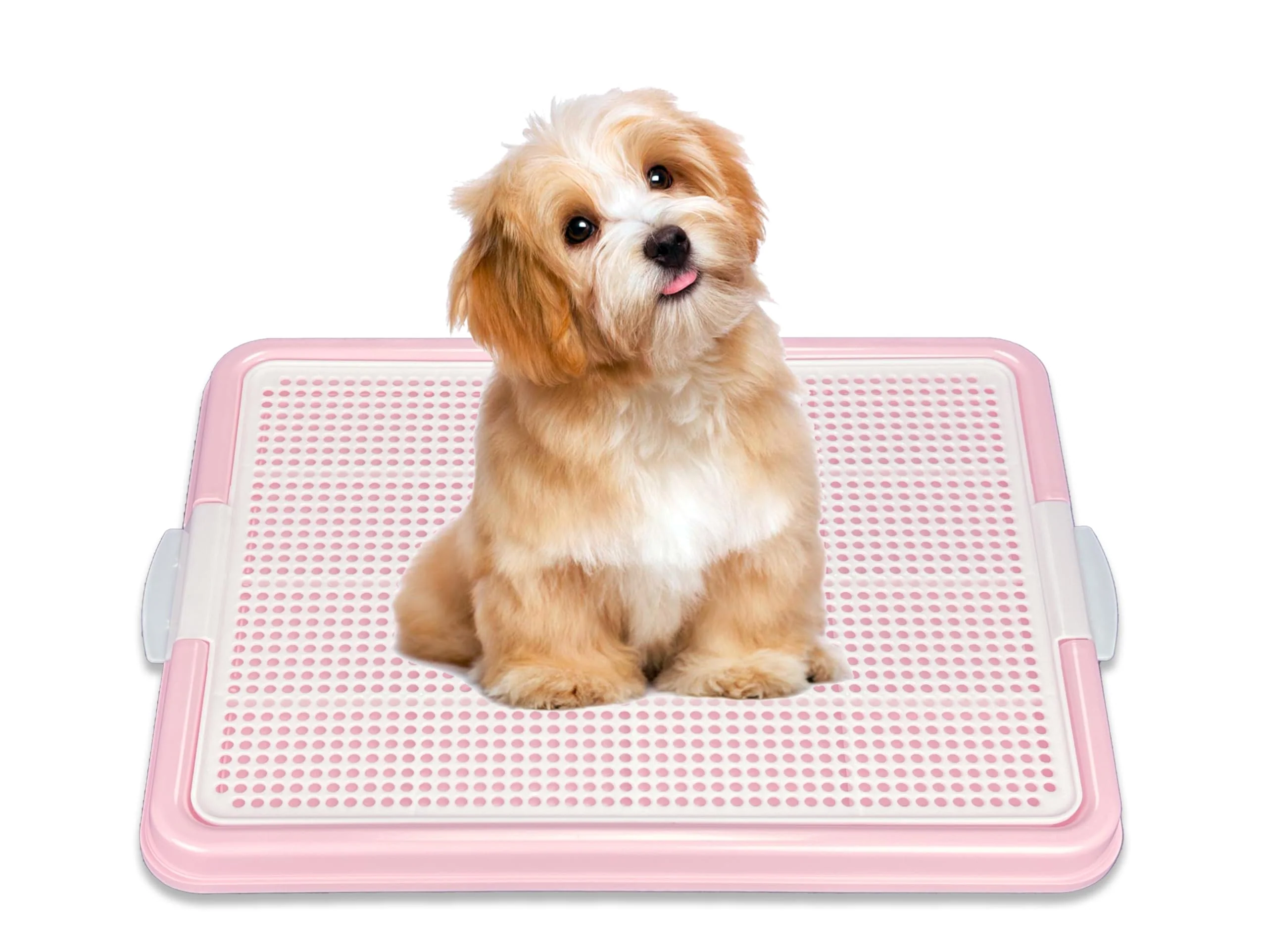 Clean Pets-N-Me Dog Pee Pad Holder 22.5 x 16.5 in Puppy Potty Tray Pink Convenient
