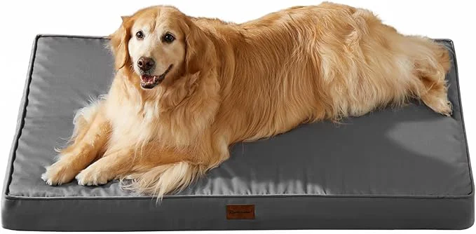 Refined BFPETHOME Outdoor Dog Beds for Large Dogs Waterproof Dog Bed for Medium High-Grade