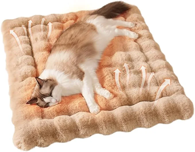 Responsible Plush Cat Beds for Indoor Cats Faux Fur Pet Mat with Non-Slip Bottom Cozy Kitten Bed for Carriers Couch Floor Dog Puppy Friendly 23 x 15 Inch Medium CoffeeAbout ThisOverview First-Class