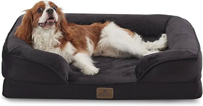 Effective Bedfolks Orthopedic Dog Bed Waterproof Dog Sofa Bed for Medium Dogs Egg Foam Pet Couch Bed with Removable Washable Cover and Nonslip Bottom BlackAbout ThisOverview Dependable