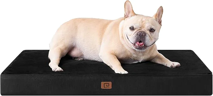 Reusable EHEYCIGA Memory Foam Dog Bed Orthopedic 30 x20 ，Waterproof Pet Bed for Medium Dogs ，Washable Pet Mat with Removable Cover BlackAbout ThisOverview Safe
