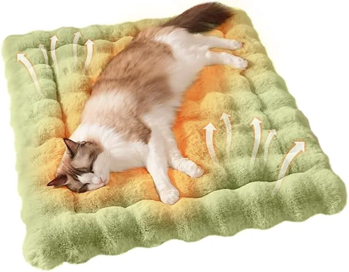 Quality Cat Bed Plush Puppy Pad Mat with Non-Slip Bottom Faux Fur Kitten Beds for Carriers Floor Dog Friendly 23 x 15 Inch Medium GreenAbout ThisOverview Clean