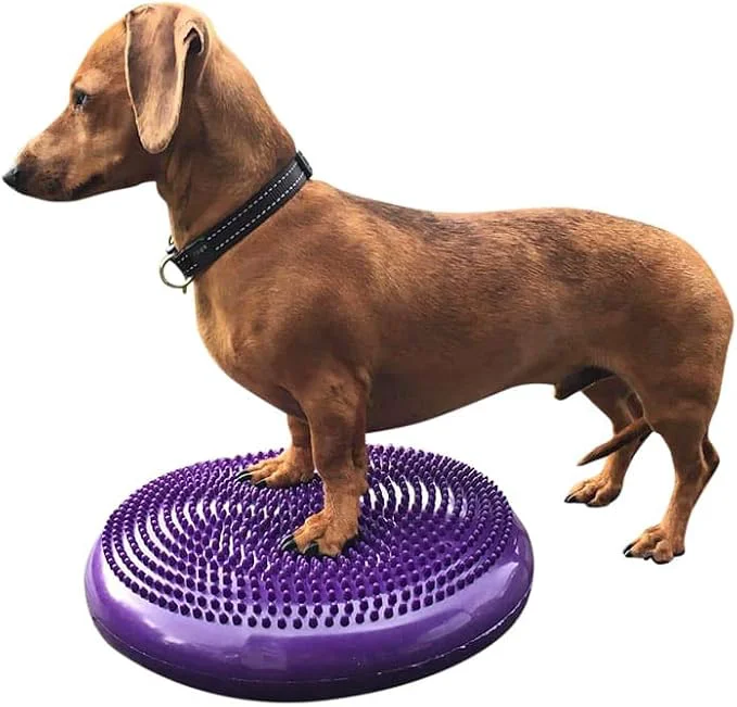 Convenient Dog Balance Disc Cushion 14 Carefully Designed