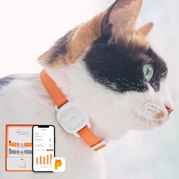 Prestigious LavvieTAG with 2 Straps Smartwatch Optimized