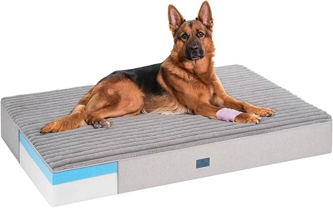 Premium Veehoo Orthopedic Memory Foam Dog Bed 7 Inch Thick Extra Large XXL Dog Bed for Senior Dogs with Ultra-Soft Fluffy Surface Waterproof Liner Removable Washable Cover and Non-Slip Bottom 52 x36 x7 About ThisOverview Verified