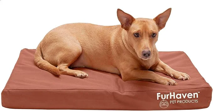 Professional Furhaven Water-Resistant Orthopedic Dog Bed for Medium Small Dogs w Removable Washable Cover For Dogs Up to 35 lbs – Indoor Outdoor Logo Print Oxford Polycanvas Mattress – Chestnut MediumAbout ThisOverview Versatile