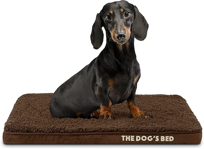 Comfortable The Dog s Bed Orthopedic Memory Foam Dog Bed Small Brown Plush Pain Relief for Arthritis Hip Elbow Dysplasia Post Surgery Lameness Supportive Calming Waterproof Washable CoverAbout ThisOverview World-Class