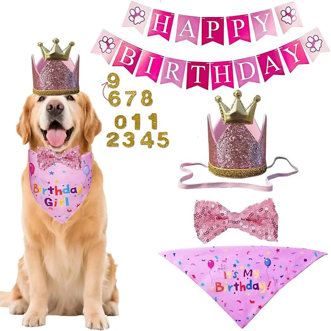 Lightweight Happy Birthday Dog Party Supplies Kit Original Design