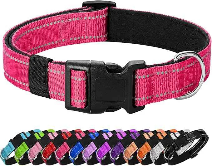 Fine Reflective Dog Collar Padded Expertly Made