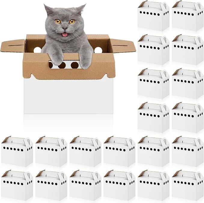Fine Crafted Tenceur 20 Pack Cardboard Pet Carrier Disposable Small Animal Carrier White Sustainable