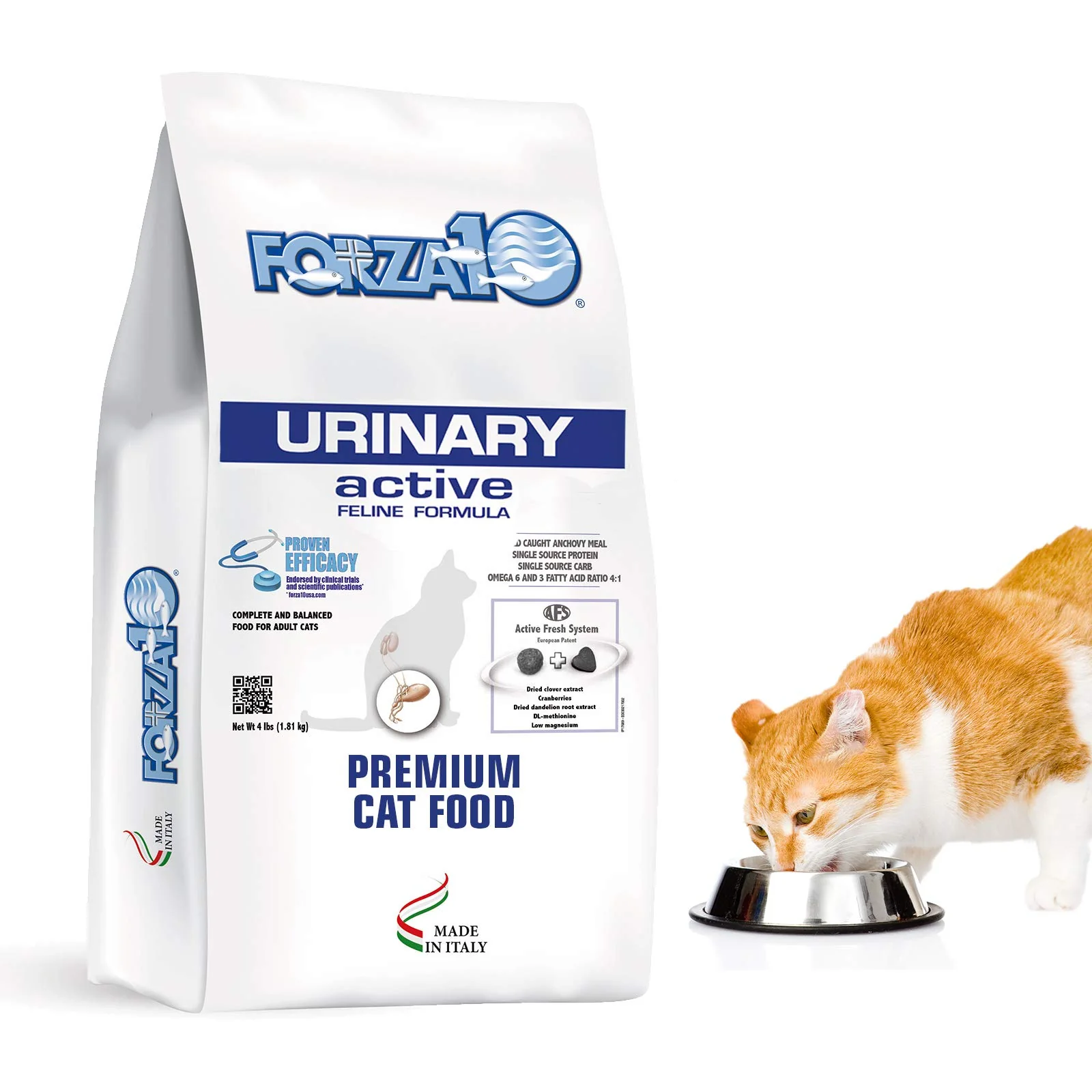 Powerful Forza10 Active Urinary Dry Cat Food – Supports Urinary Tract Health in Adult Cats Fish Flavor 4 lb Dependable