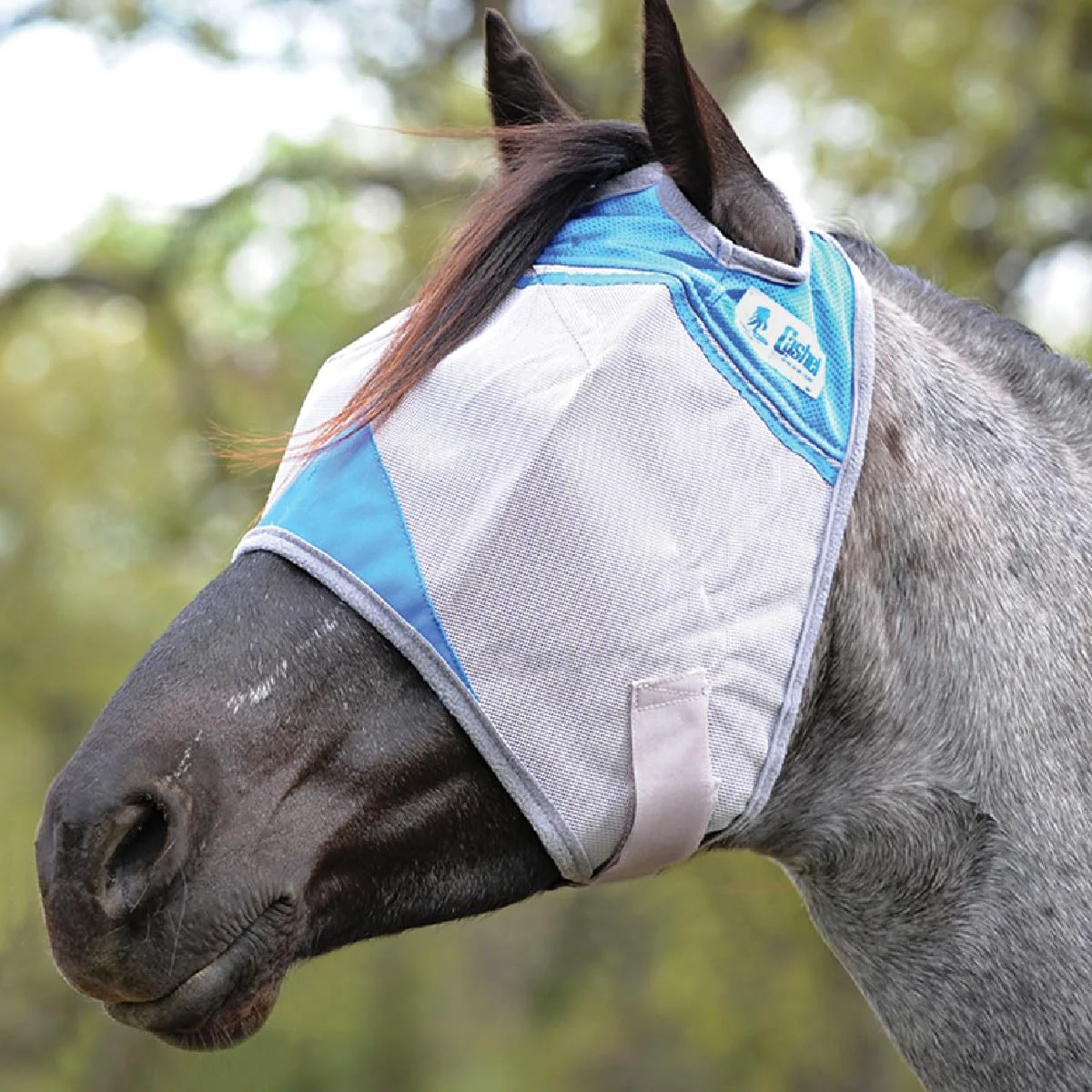 Optimized Cashel Crusader Fly Mask Standard – Blue Yearling Clear Vision UV Protection Prestigious