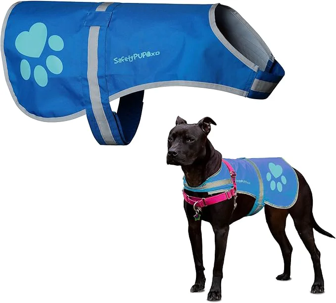 Sophisticated SafetyPUP XD Dog Reflective Vest – Hi-Vis Fluorescent Visibility That Helps to Safeguard Your Pet On Off Leash in Urban Rural Areas Blue X-Large About ThisOverview Optimized