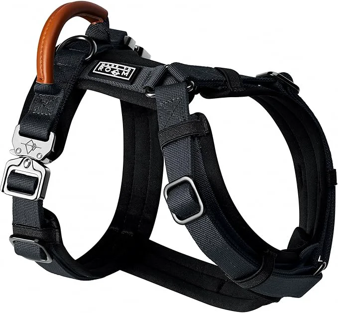 Clean MADE TO ROAM Premium Explorer Harness – Y-Shaped Dog Harness with Adjustable Durable Nylon Soft Padding Metal Buckles and Leather Handle for Small Medium Large Dogs New York Afterlight Size 7 About ThisOverview Classic