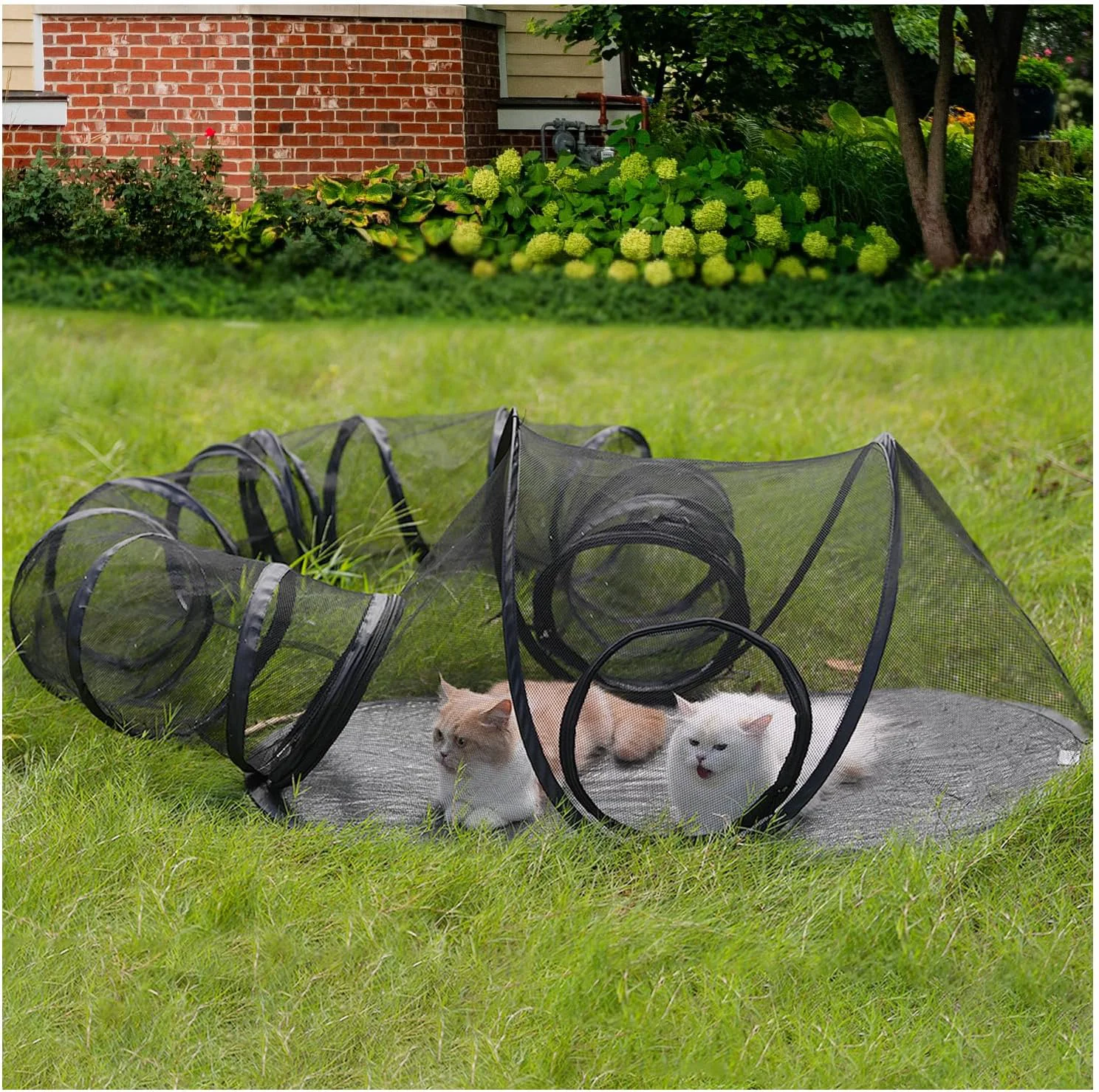Consistent Rest-Eazzzy Outdoor Cat Enclosures Portable Cat Tent for Outside Enclosure for Indoor Cats Catio Outdoor Cat Enclosure for Kitty and Small Animals Cat Playpen with Tunnel Storage Bag Authentic