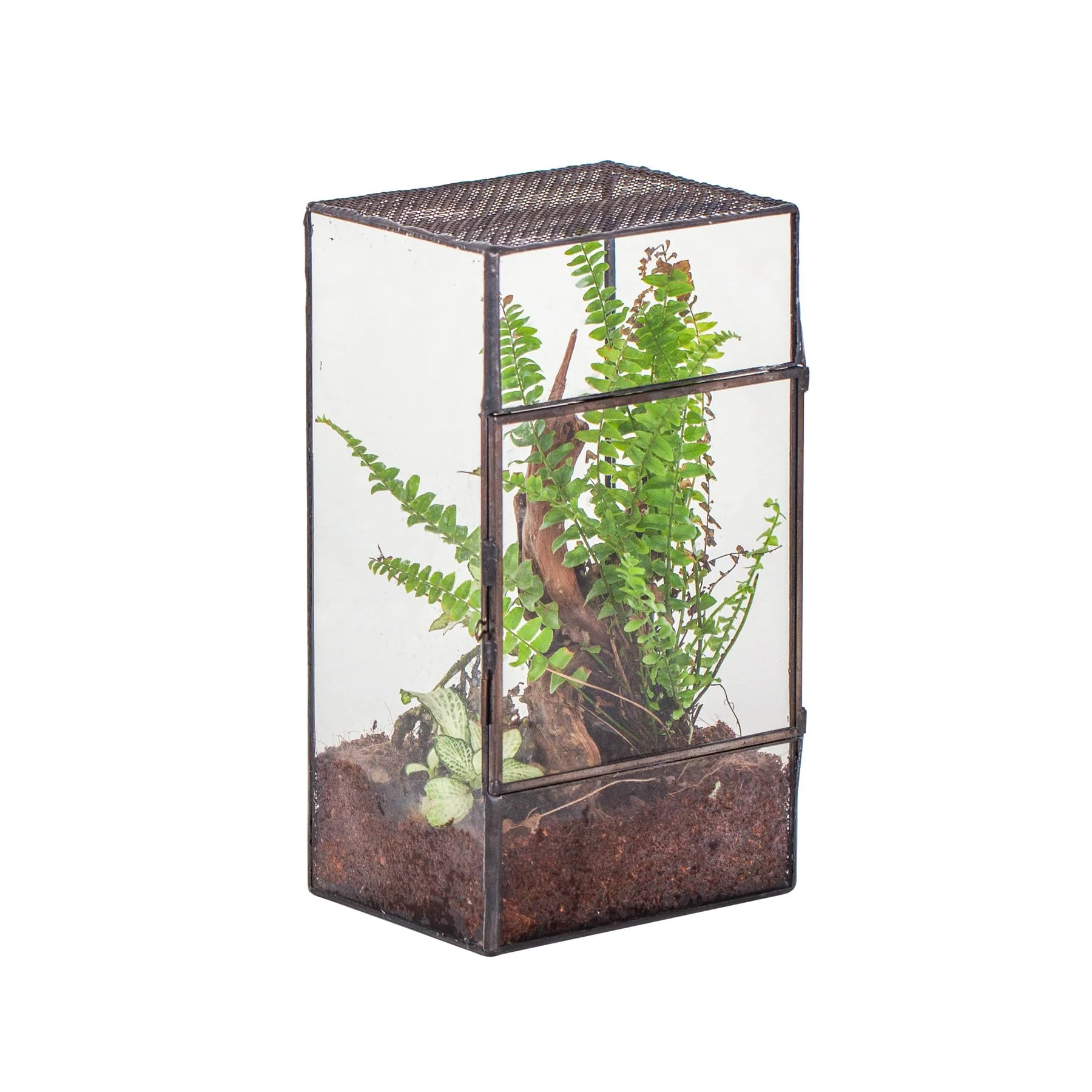 Carefully Designed NCYP Glass Terrarium with Door Mesh – 5.1 x 3.9 x 9 in Black Terrarium Only Modern