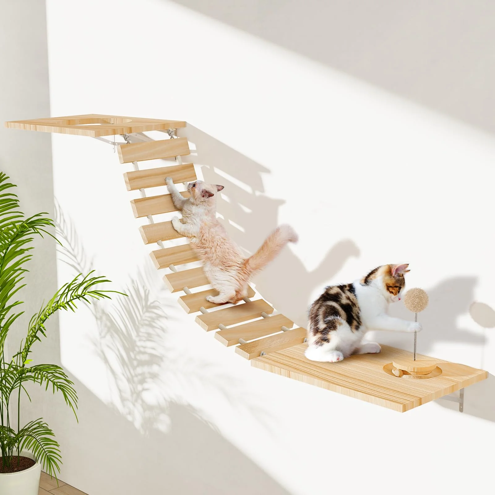 Practical Chuiendi Cat Wall Hammock – Wall-Mounted Climbing Bridge with Track Toy 3 Hanging Balls 29-inch Length Fast