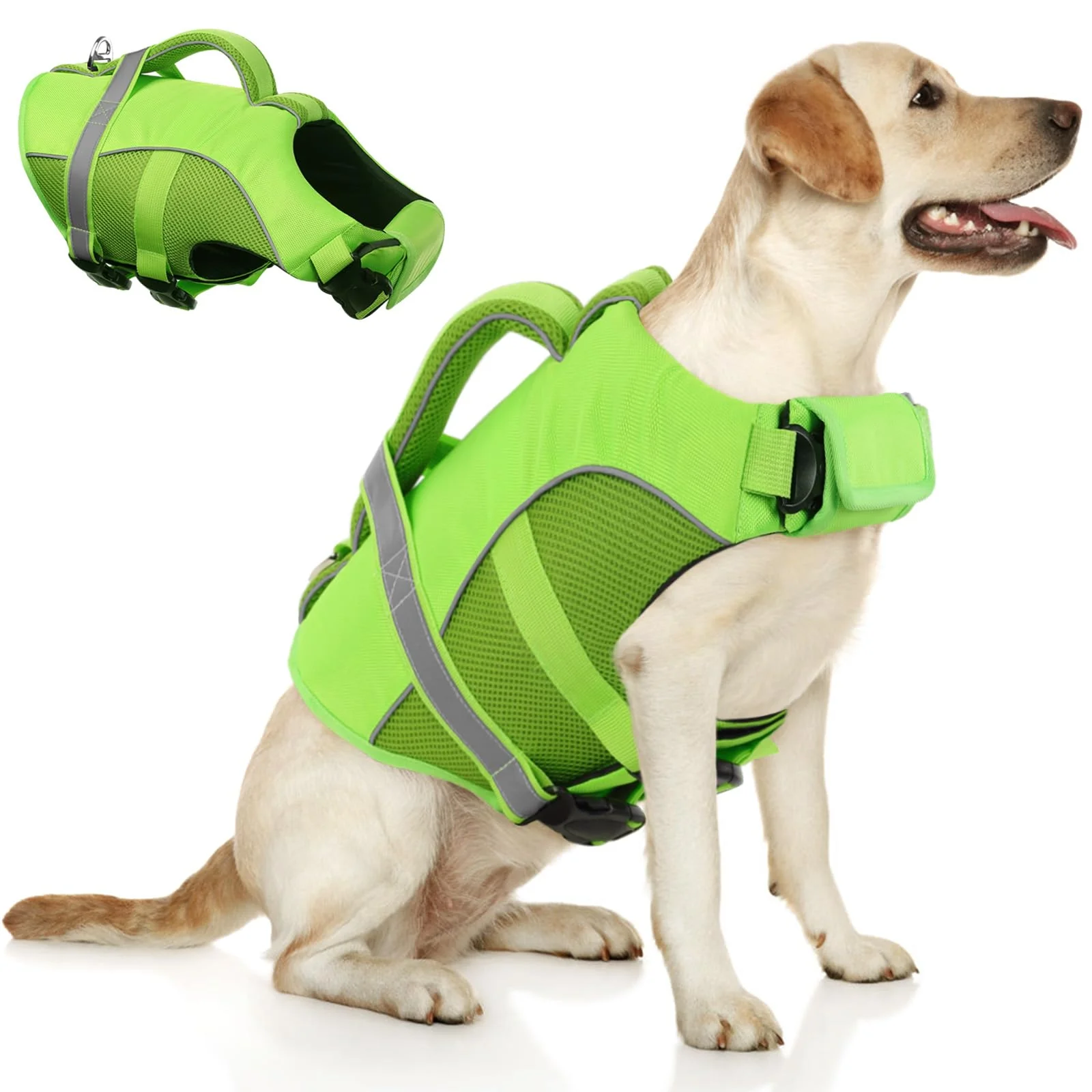 Lightweight Queenmore Dog Life Jacket XS Green – Adjustable Ripstop Buoyancy Vest with Rescue Handle Specialty
