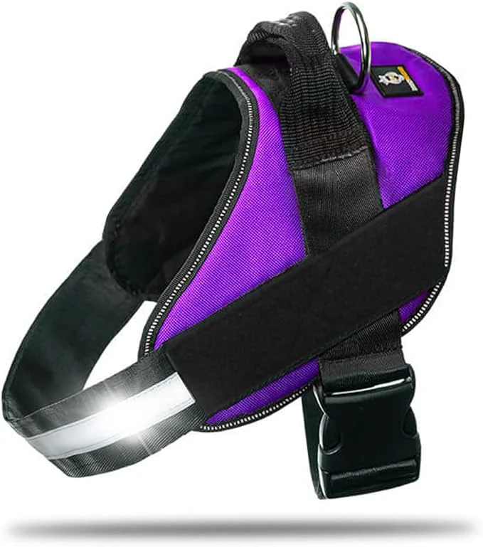 Comfortable Non Pull Dog Harness with Patch Panels and Handle Adjustable Reflective No Choke Heavy Duty Easy On Service Dog Vest Harnesses for Medium Large Small Sized Dogs – Purple SAbout ThisOverview Professional