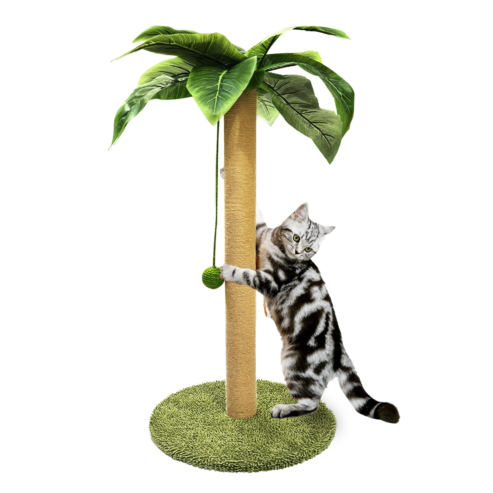 Dependable PETKARAY 36-inch Palm Tree Cat Scratching Post – Sisal with Toy Ball Large Size Premium Material