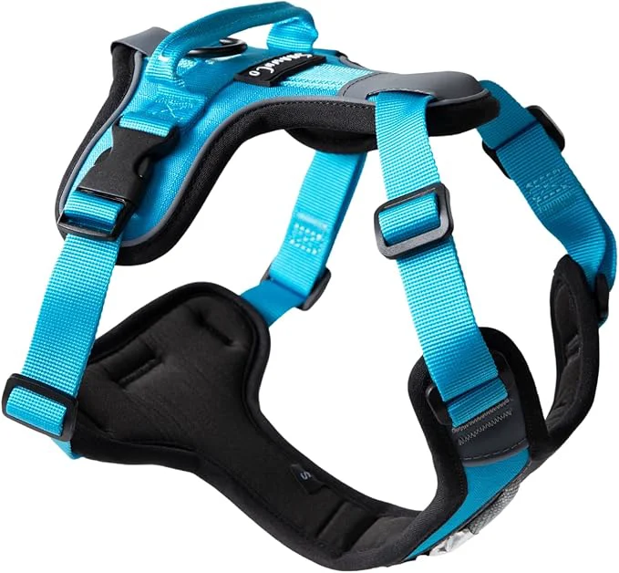 Sustainable ShawnCo Basecamp Dog Harness No-Pull Pet Vest with 3 Leash Clips Padded Reflective Lightweight and Adjustable Harness with Handle for Small Medium and Large Dogs Oceanic Blue XS About ThisOverview Relaxed