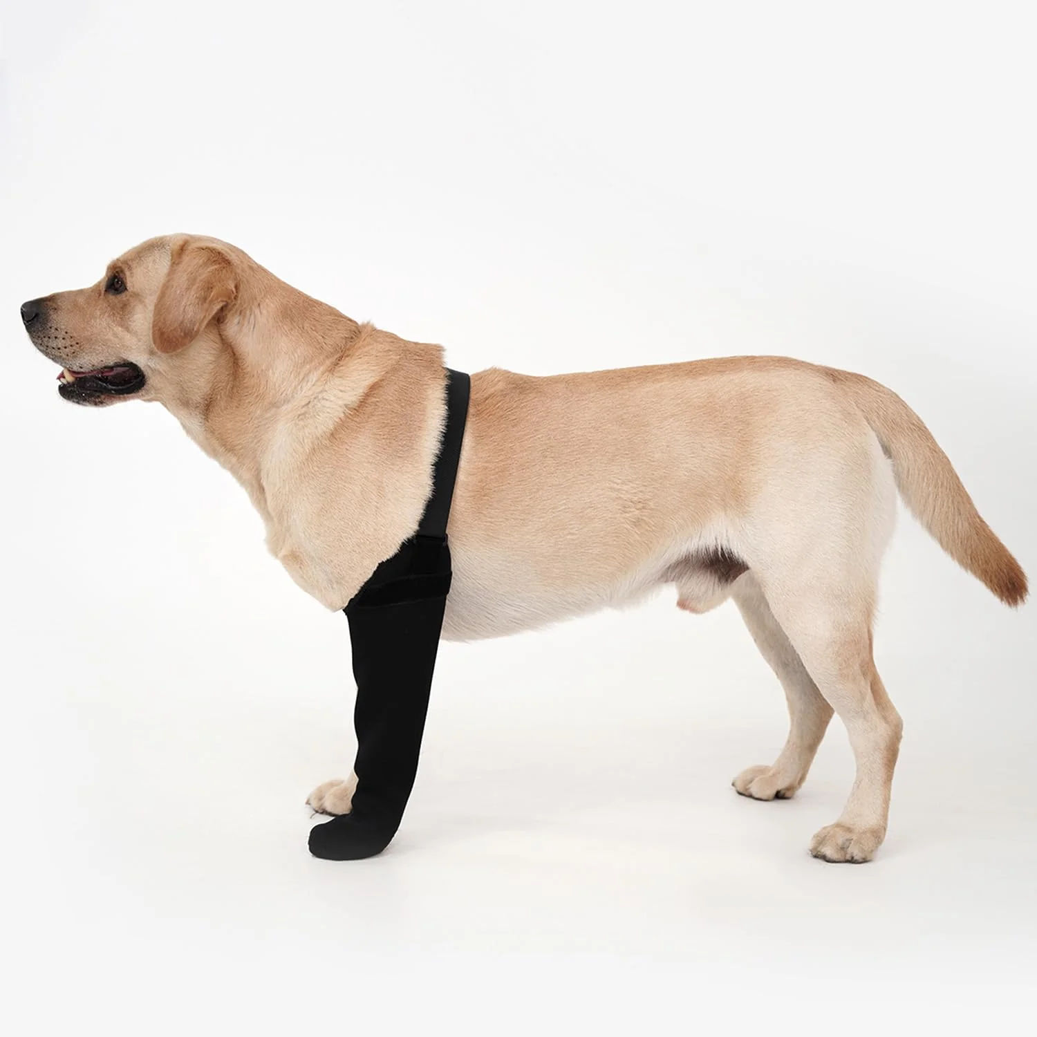 Premium yrenoer Dog Recovery Socks – Waterproof Paw Protectors with Non-Slip Sole Post-Surgery Boots for Wound Protection Black L_Right First-Class