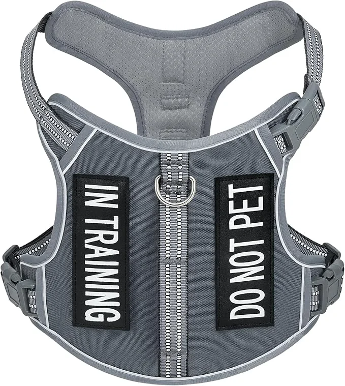 Solid Light Dog Harness for Small Sized Dog Breeds No-Pull Pet Harness with 2 Leash Clips Adjustable Soft Padded Dog Vest Reflective Pet Oxford Vest Puggle Terriers Beagle Gray SmallAbout ThisOverview Contemporary