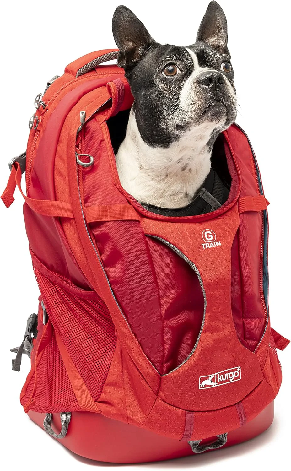 Clean Kurgo G-Train – Dog Carrier Backpack for Small Pets – Cat Dog Backpack for Hiking Camping or Travel – Waterproof Bottom – Red High-Quality