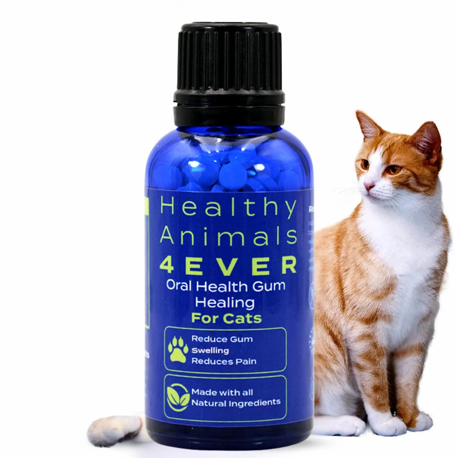 Pure HealthyAnimals4Ever HA4E Cat Oral Health – Natural Gum Support for Cats Organic Non-GMO Gluten- Dependable