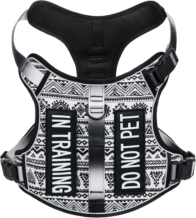 Casual Light Dog Harness for Small Sized Dog Breeds No-Pull Pet Harness with 2 Leash Clips Adjustable Soft Padded Dog Vest Reflective Pet Oxford Vest Puggle Terriers Beagle Black Ethnic SAbout ThisOverview Specialty