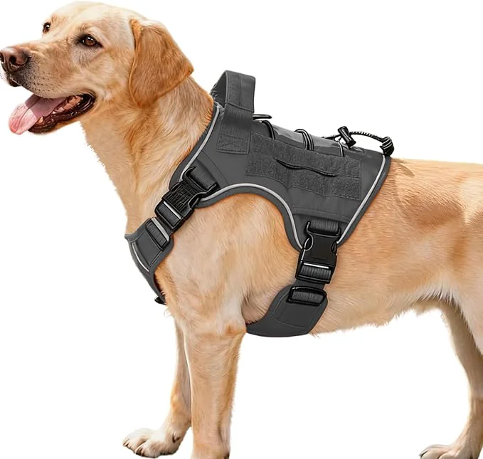Carefully Designed Heavy-Duty Tactical Dog Harness for Large Dogs No Pull Adjustable Reflective Pet Vest with Molle System K9 Military-Grade Control for Service Training Outdoor 10 Breeds Gray MediumAbout ThisOverview Recyclable