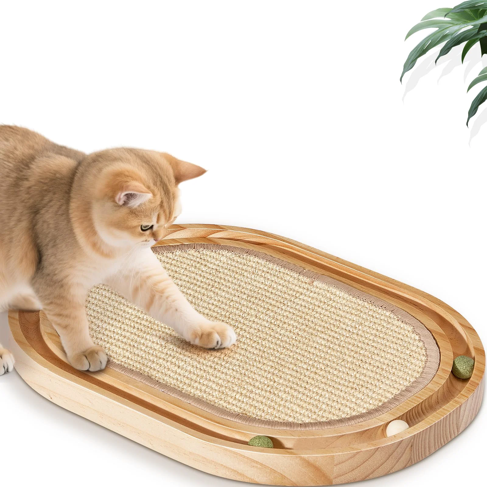Official Petjoyi Cat Scratcher for Indoor Cats — Sisal Pad Wooden Ball Track No Assembly Exceptional