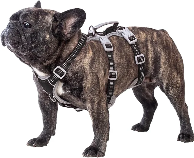 Trendy Huntboo Escape Proof Dog Harness Escape Artist Harness Reflective Harness with Padded Handle Breathable Durable Adjustable Vest for Medium Dogs Walking Training and Running Gear Black S About ThisOverview Advanced