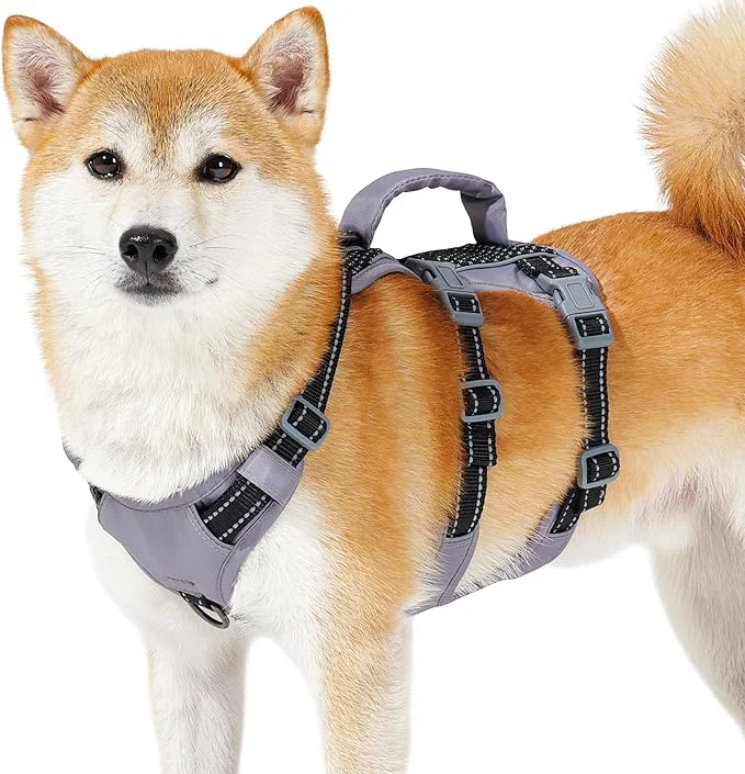 Environmentally Friendly Huntboo Reflective Dog Harness with Handle Escape Proof No Slip Breathable Lightweight Adjustable Lift Harness for Small Medium and Large Dogs Walking Training and Running Gear Black S About ThisOverview Next-Generation