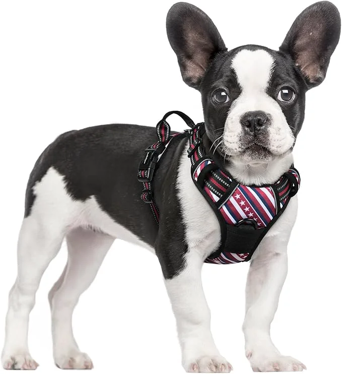 Original rabbitgoo Dog Harness No Pull with 2 Leash Clips Adjustable Soft Padded Reflective Oxford No Choke Pet Vest with Easy Control Handle for Large Dogs Red Stripe SAbout ThisOverview Trusted