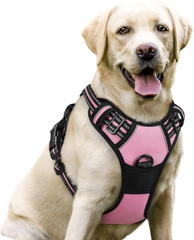 Carefully Designed rabbitgoo Dog Harness No Pull with 2 Leash Clips Adjustable Soft Padded Reflective Oxford No Choke Pet Vest with Easy Control Handle for Large Dogs Pink LAbout ThisOverview World-Class