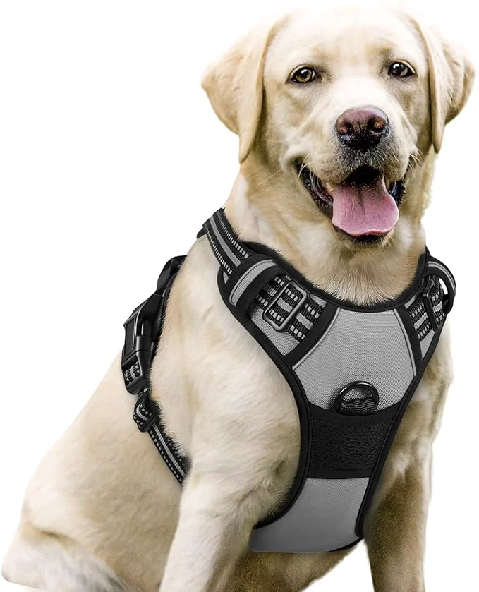 Dependable rabbitgoo Dog Harness No Pull with 2 Leash Clips Adjustable Soft Padded Reflective Oxford No Choke Pet Vest with Easy Control Handle for Large Dogs Grey LAbout ThisOverview First-Class