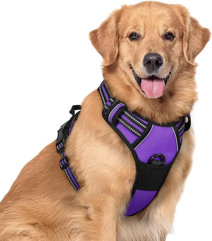 Enhanced rabbitgoo Dog Harness No Pull with 2 Leash Clips Adjustable Soft Padded Reflective Oxford No Choke Pet Vest with Easy Control Handle for Large Dogs Purple XLAbout ThisOverview Original Design