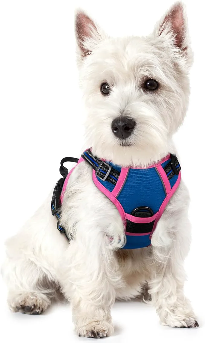 Fast rabbitgoo Dog Harness No Pull with 2 Leash Clips Adjustable Soft Padded Reflective Oxford No Choke Pet Vest with Easy Control Handle for Large Dogs Blue Hot Pink XSAbout ThisOverview Casual