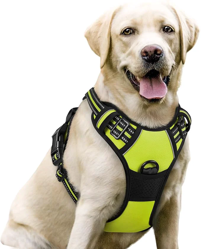 Natural rabbitgoo Dog Harness No Pull with 2 Leash Clips Adjustable Soft Padded Reflective Oxford No Choke Pet Vest with Easy Control Handle for Large Dogs Green LAbout ThisOverview Solid