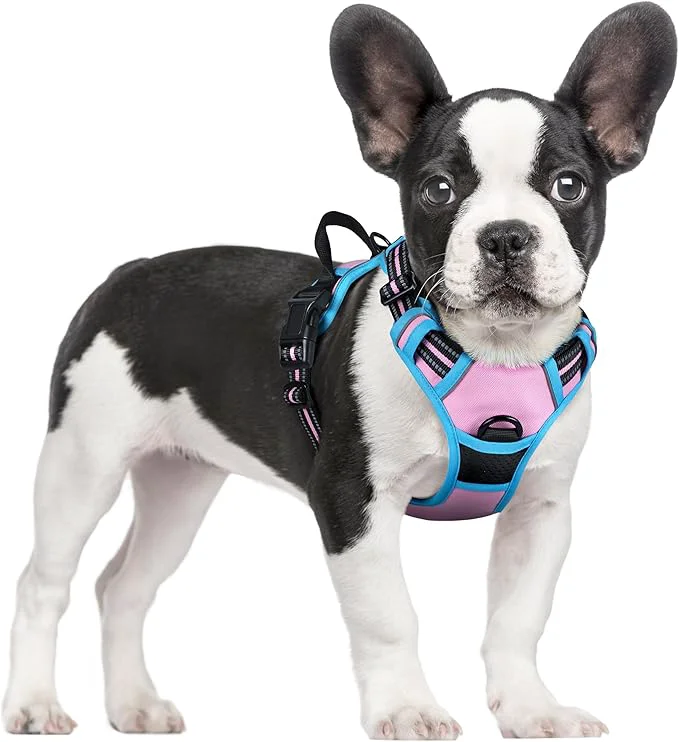 Quality rabbitgoo Dog Harness No Pull with 2 Leash Clips Adjustable Soft Padded Reflective Oxford No Choke Pet Vest with Easy Control Handle for Small Dogs Pink Blue SAbout ThisOverview Natural