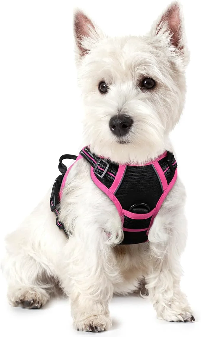 Contemporary rabbitgoo Dog Harness No Pull with 2 Leash Clips Adjustable Soft Padded Reflective Oxford No Choke Pet Vest with Easy Control Handle for Large Dogs Black Hot Pink XSAbout ThisOverview Carefully Designed