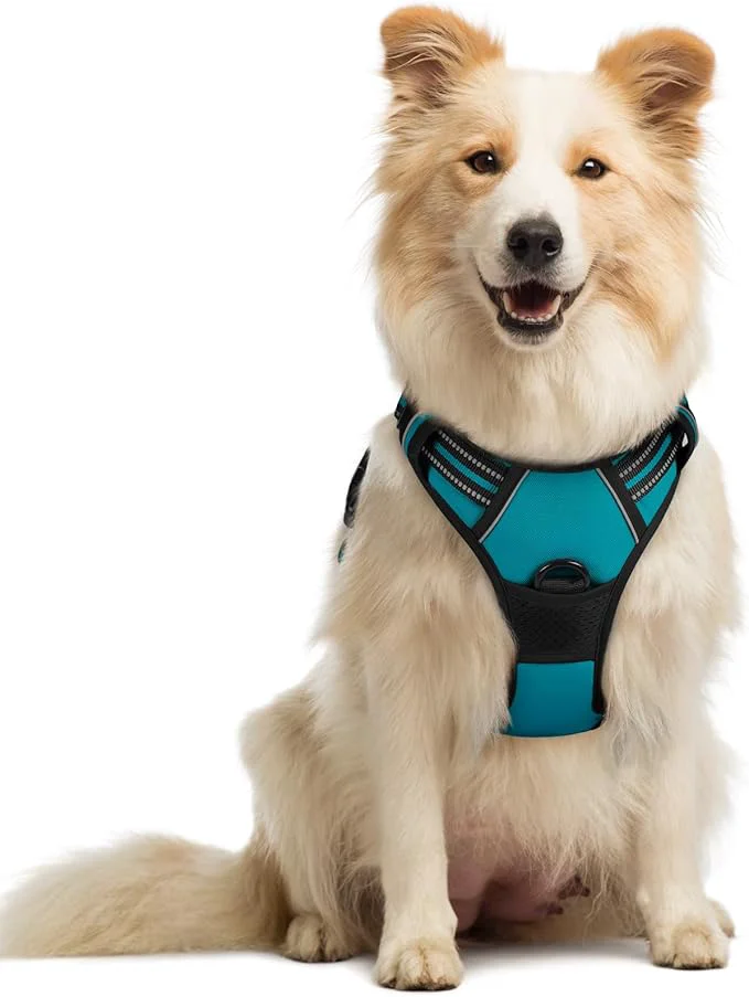 Convenient rabbitgoo Dog Harness No Pull with 2 Leash Clips Adjustable Soft Padded Reflective Oxford No Choke Pet Vest with Easy Control Handle for Medium Sized Dogs Teal MAbout ThisOverview Advanced